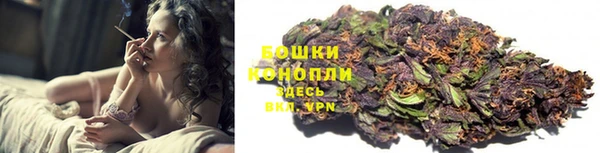 трава Медвежьегорск