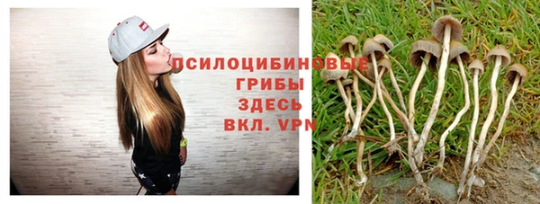 метадон Медногорск