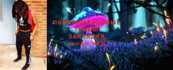 герыч Мегион