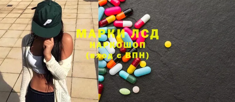 где купить наркотик  Елизово  mega ТОР  Лсд 25 экстази ecstasy 