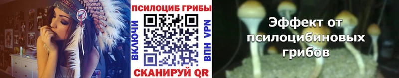 Галлюциногенные грибы MAGIC MUSHROOMS  Елизово 