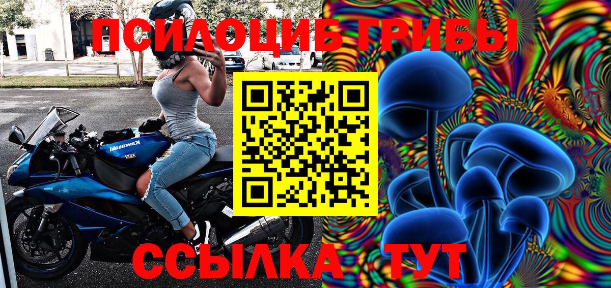 Псилоцибиновые грибы прущие грибы Елизово